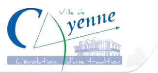 cayenne-removebg-preview